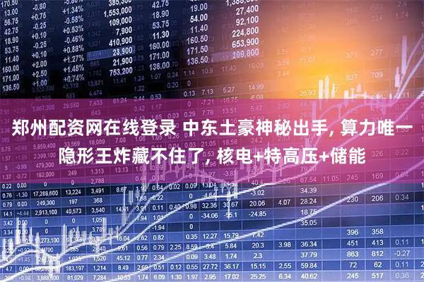 郑州配资网在线登录 中东土豪神秘出手, 算力唯一隐形王炸藏不住了, 核电+特高压+储能
